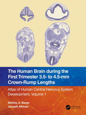 cover image of The Human Brain during the First Trimester 3.5- to 4.5-mm Crown-Rump Lengths